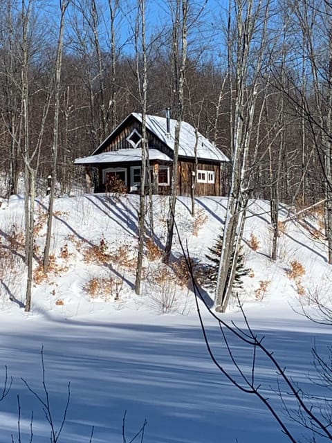 Property building, Natural landscape, Winter