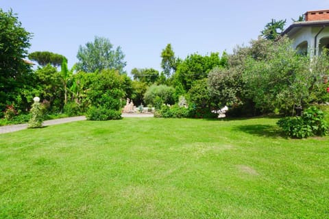 Garden, Garden view