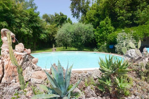 Garden, Pool view, Swimming pool