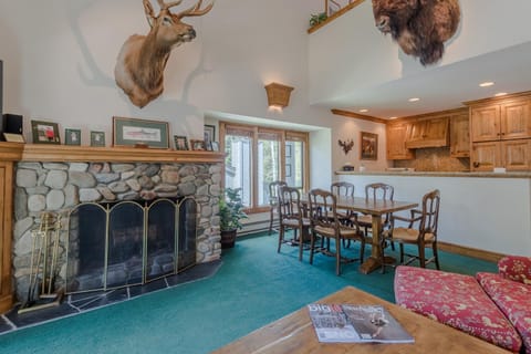 Greyhawk Condo 10 - Great Location Close to Bald Mt Hiking and Skiing House in Ketchum