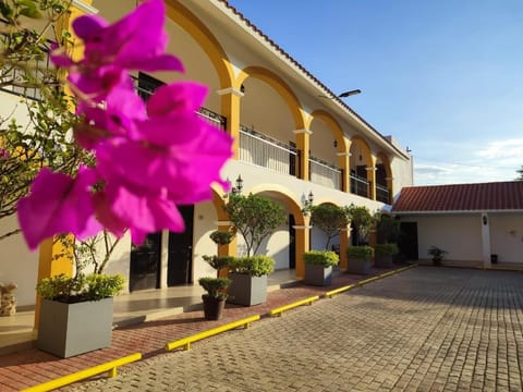 Property building, Spring, Day, Garden view