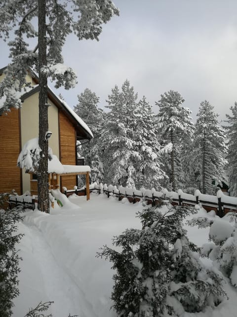 Property building, Winter