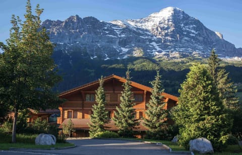 Billabong Apartment in Grindelwald