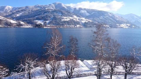 Natural landscape, Winter, View (from property/room)