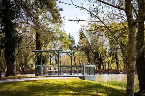 Garden, Lake view