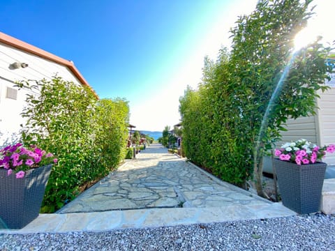 Mobile homes Kamp Maslina, Biograd na Moru Campground/
RV Resort in Biograd na Moru