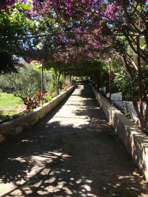 Knossos Appart-hôtel in Panormos in Rethymno
