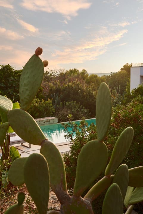 Villa Boho Villa in Apulia