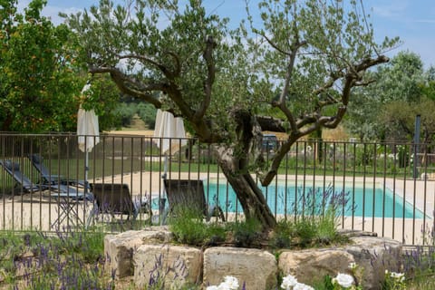 Natural landscape, Garden, Garden view, Pool view, Swimming pool, sunbed