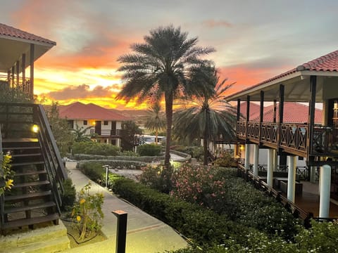 Property building, Garden, Sunset