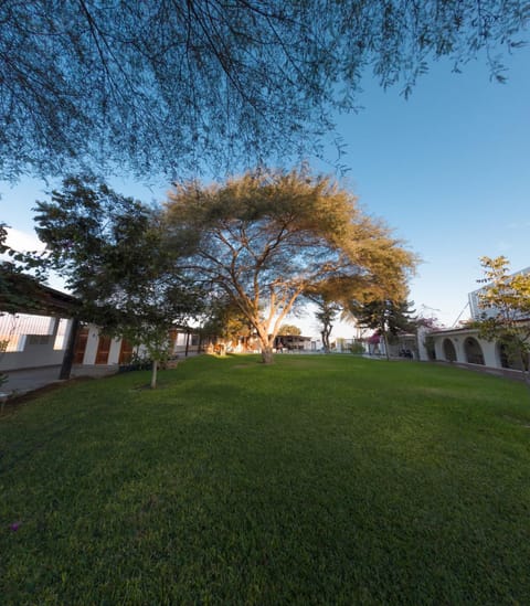 Bodega el Huarango Hotel in Ica