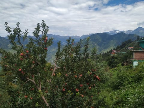 The Heritage, Sarahan Vacation rental in Himachal Pradesh