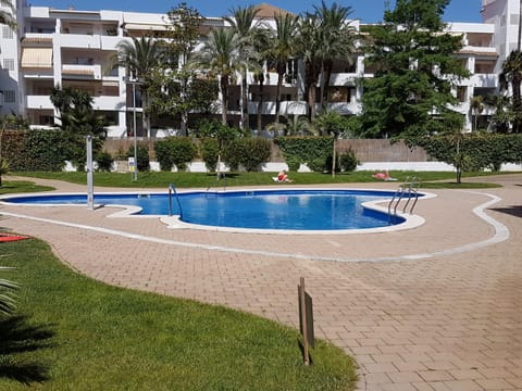 Garden, Swimming pool