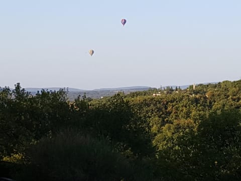 Natural landscape