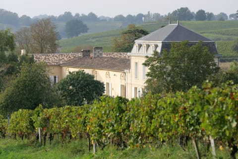 Château Richelieu Alojamiento y desayuno in Fronsac