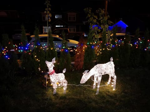 Metropolis MetroTown Area lovely place 2 or 1 bedrooms suite Villa in New Westminster