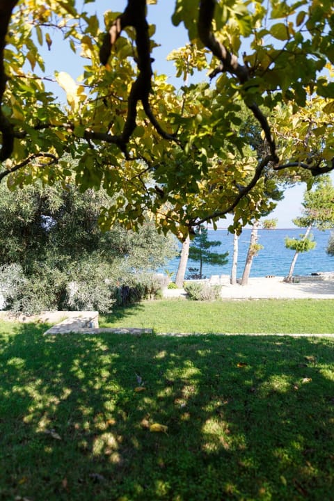 Garden, Sea view