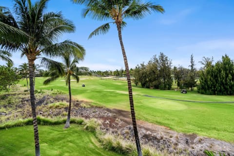 Waikoloa Beach Villas P32 Villa in Puako