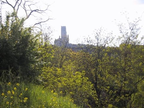 gite de Pratgraussals Maison in Albi