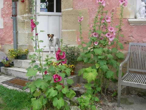 La Ferme Rose Bed and Breakfast in Cergy