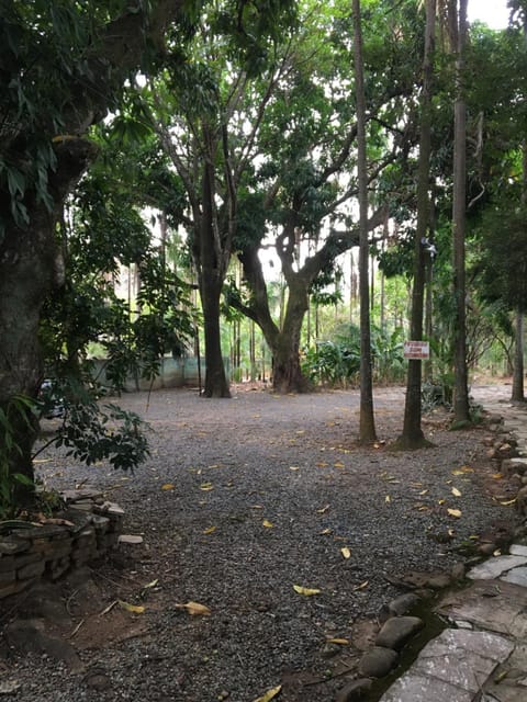 Pousada Floresta Inn in Pirenópolis