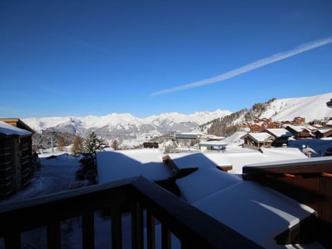 Duplex cosy 5 personnes, au pied des pistes et proche commerces - FR-1-455-20 Apartment in Mâcot-la-Plagne