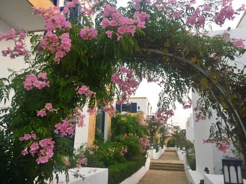 Facade/entrance, Garden view