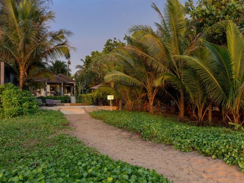 Property building, Facade/entrance, Garden