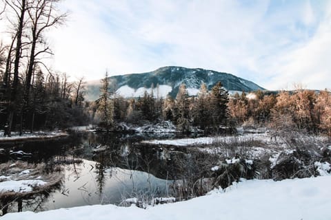 Cowichan River Lodge Lodge nature in Lake Cowichan