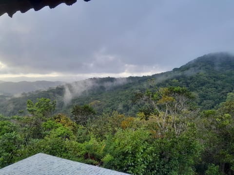 Mandalas Ecolodge Natur-Lodge in Panama City, Panama