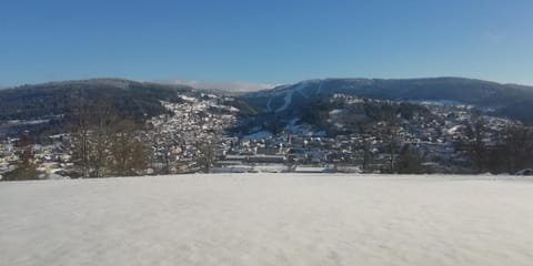 Winter, Mountain view