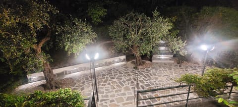 Night, Garden, Garden view