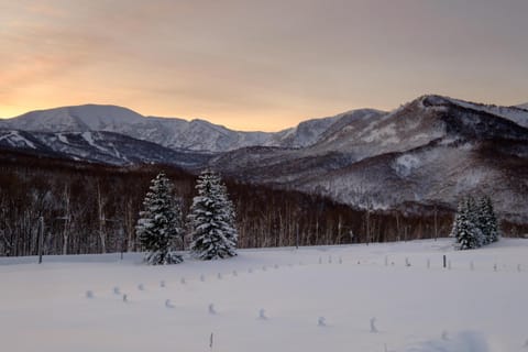 Natural landscape, Winter, Garden, Skiing, Mountain view, Sunset