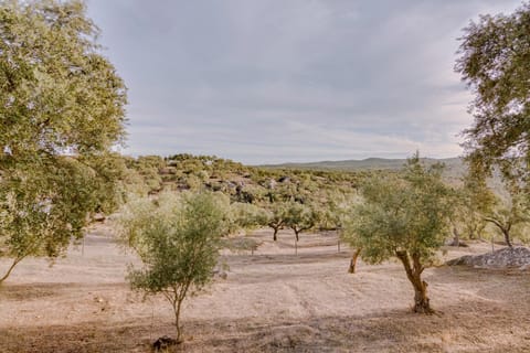 Monte da Lapa Bed and Breakfast in Santarém District, Portugal