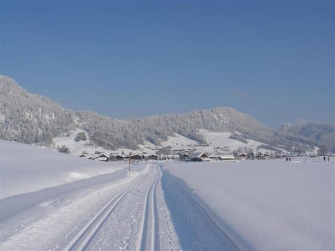 Gästehaus Hanna Teifel Appartamento in Salzburgerland