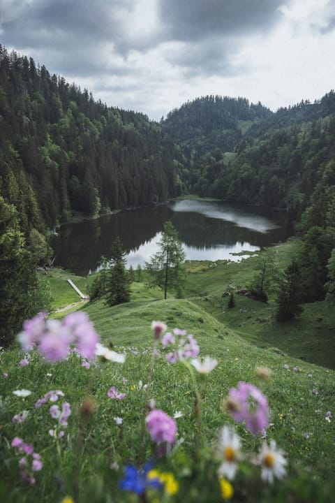 Gästehaus Hanna Teifel Wohnung in Salzburgerland