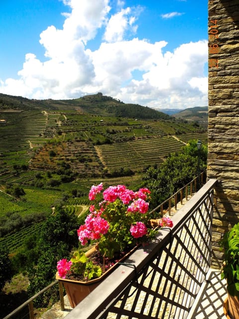 Hotel Rural da Quinta do Silval Hotel in Vila Real District