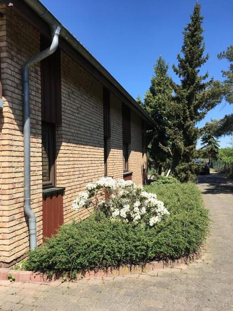 Property building, Garden view