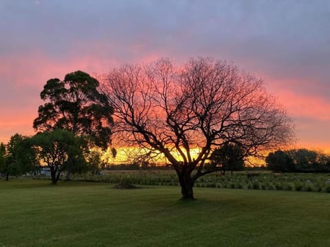 CABAÑA LA TOSCANA Nature lodge in Entre Ríos Province, Argentina