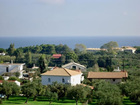 Natural landscape, Bird's eye view