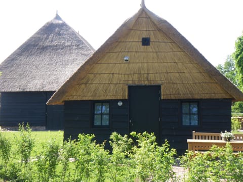 Property building, Day, Garden