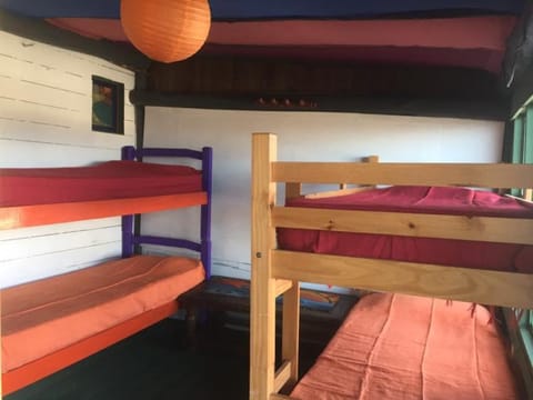 children, group of guests, bunk bed, Family