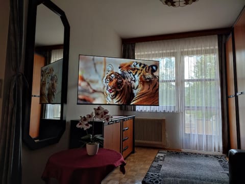 TV and multimedia, Evening entertainment