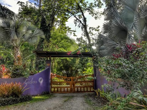 Facade/entrance, Garden