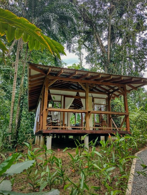 Geckoes Lodge villa in Panama