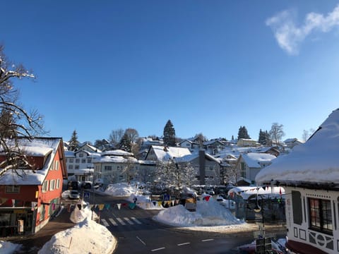 Neighbourhood, Winter, Mountain view, Street view, Parking