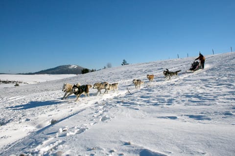 Natural landscape, Winter