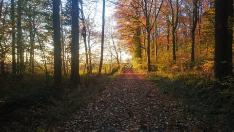 Petit Bonheur House in Flanders