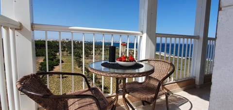 View (from property/room), Balcony/Terrace