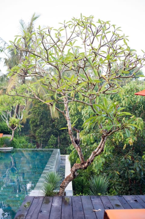 Villa Watu Sangging Chalet in Kediri